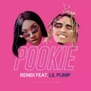 Aya Nakamura - Pookie (feat. Lil Pump) [Remix]